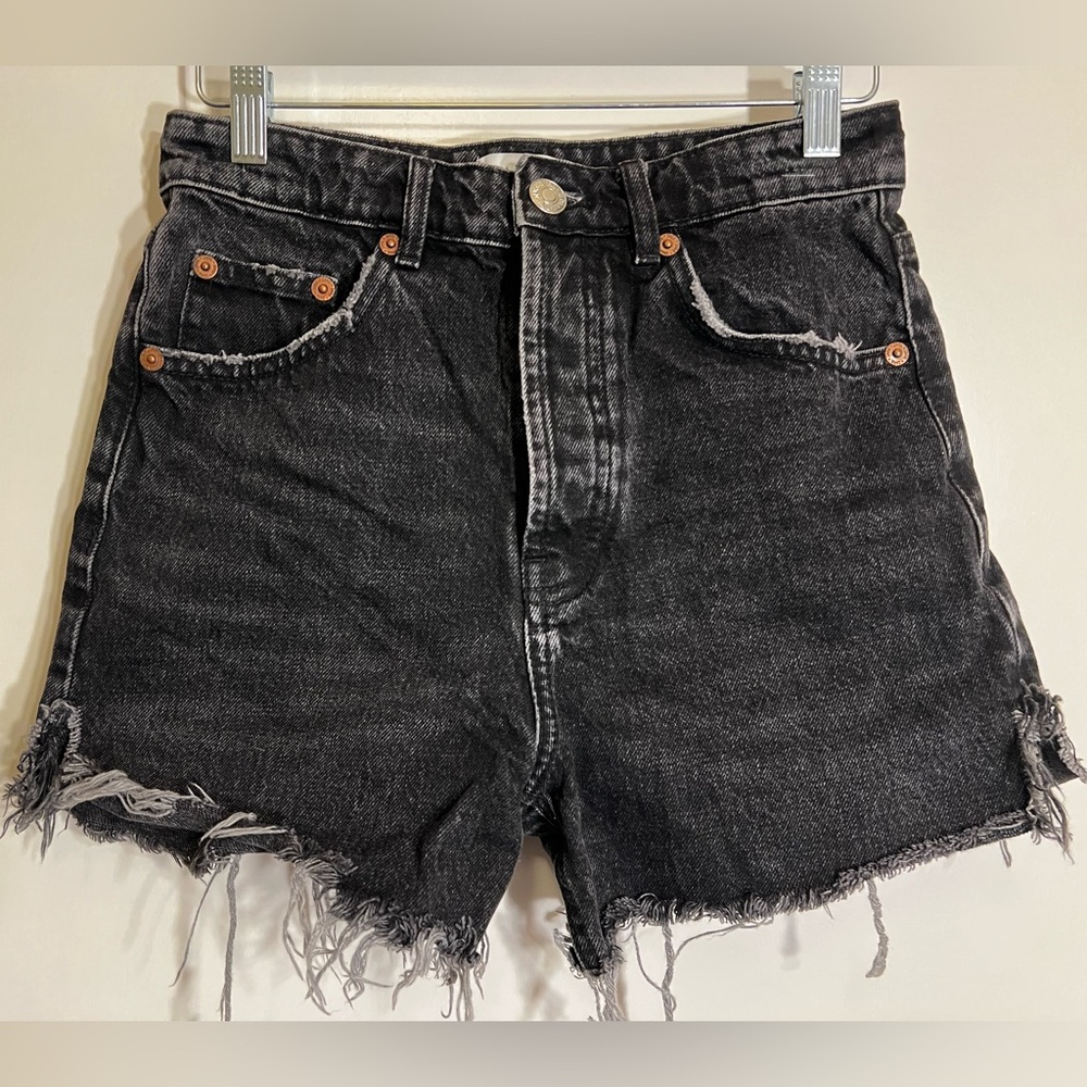 Zara Shorts